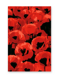 Chungus Art — Poppies